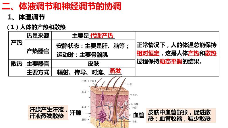 新教材备战高考生物一轮复习全考点精讲课堂  第26讲 体液调节与神经调节的关系（课件）07