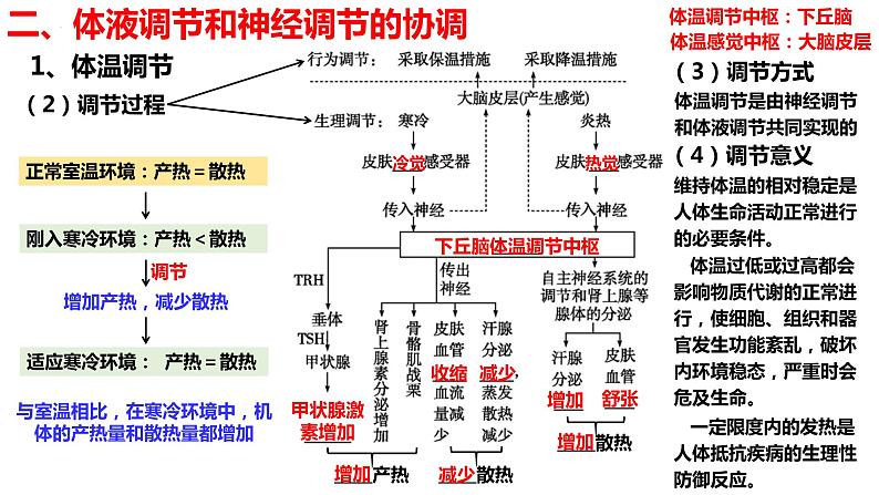 新教材备战高考生物一轮复习全考点精讲课堂  第26讲 体液调节与神经调节的关系（课件）08