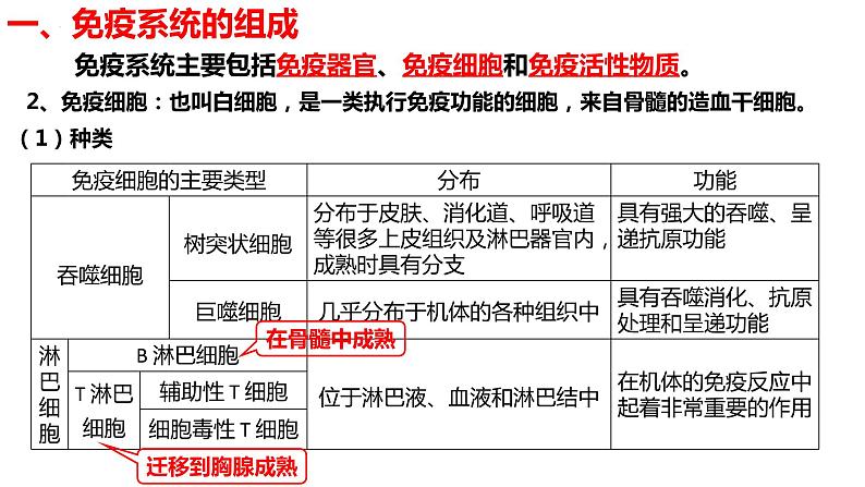 新教材备战高考生物一轮复习全考点精讲课堂  第27讲 免疫调节（课件）06