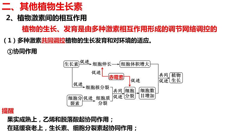 新教材备战高考生物一轮复习全考点精讲课堂  第29讲 其他植物激素、植物生长调节剂的应用及环境因素参与调节植物的生命活动（课件）07