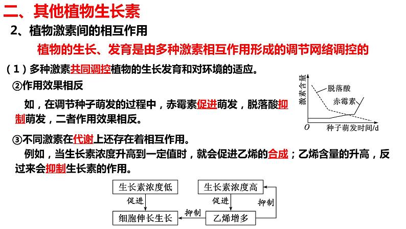 新教材备战高考生物一轮复习全考点精讲课堂  第29讲 其他植物激素、植物生长调节剂的应用及环境因素参与调节植物的生命活动（课件）08