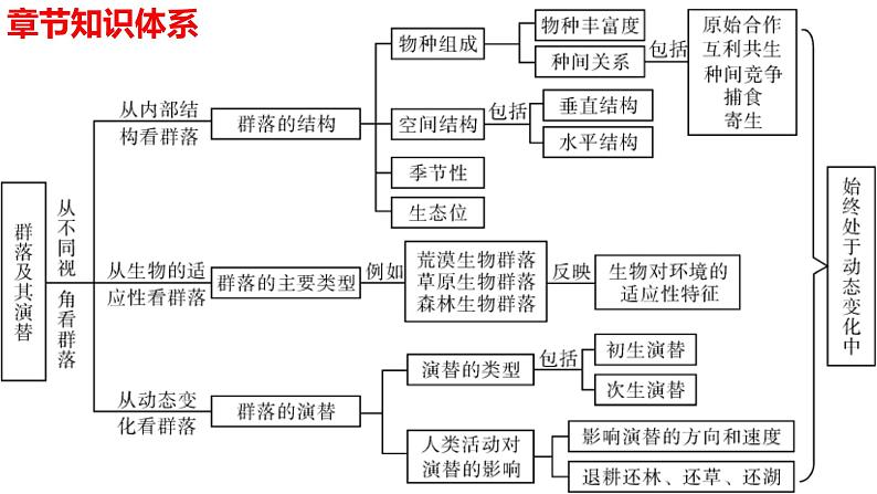 新教材备战高考生物一轮复习全考点精讲课堂  第31讲 群落及其演替（课件）02