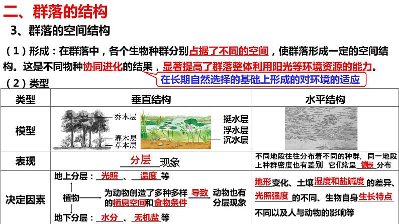 新教材备战高考生物一轮复习全考点精讲课堂  第31讲 群落及其演替（课件）07