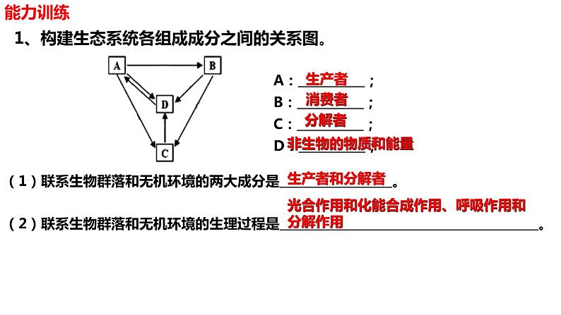 新教材备战高考生物一轮复习全考点精讲课堂  第32讲 生态系统的结构及其稳定性（课件）第8页