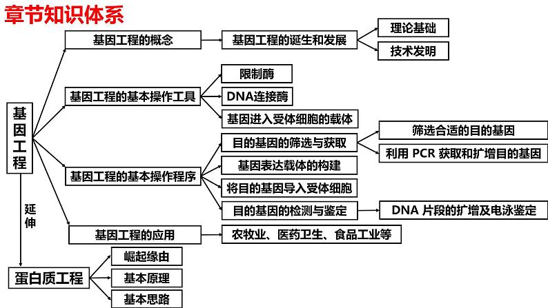 新教材备战高考生物一轮复习全考点精讲课堂  第35讲 基因工程（课件）第3页