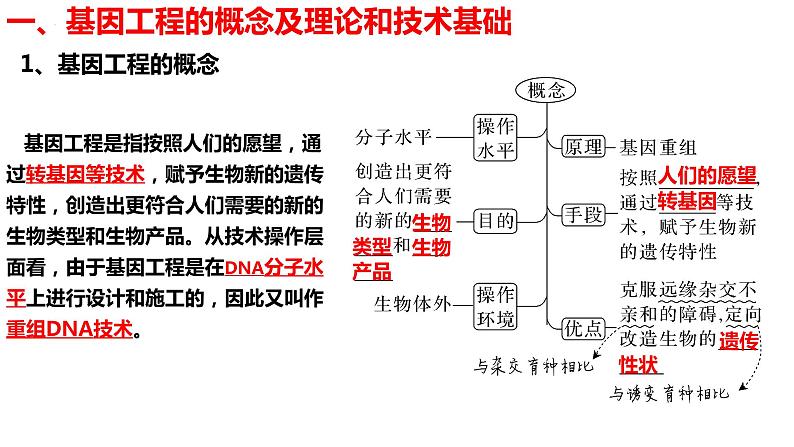 新教材备战高考生物一轮复习全考点精讲课堂  第35讲 基因工程（课件）第5页