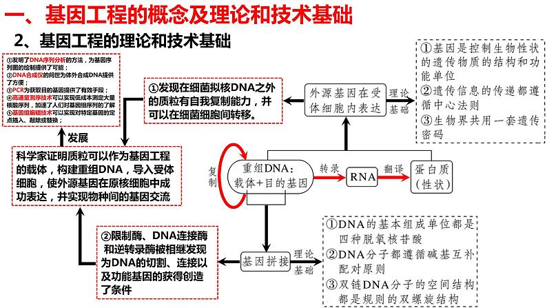 新教材备战高考生物一轮复习全考点精讲课堂  第35讲 基因工程（课件）第6页