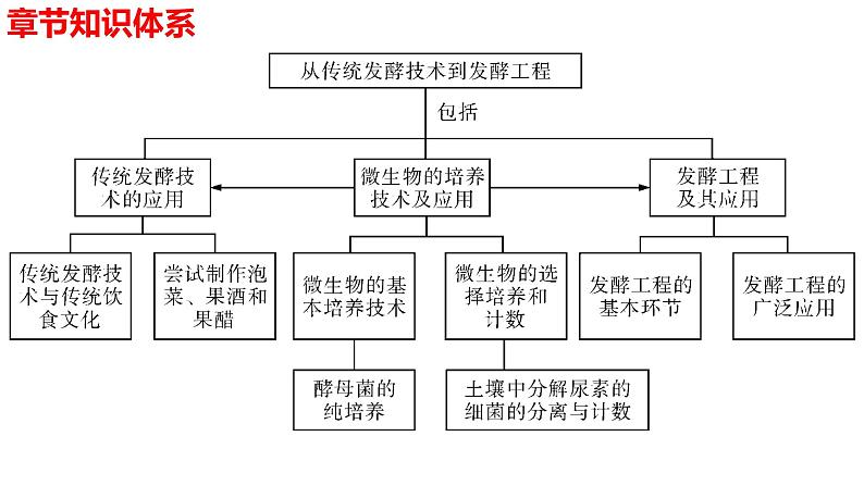 新教材备战高考生物一轮复习全考点精讲课堂  第37讲 发酵工程（课件）第3页