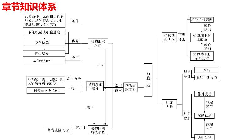 新教材备战高考生物一轮复习全考点精讲课堂  第38讲 细胞工程（课件）03