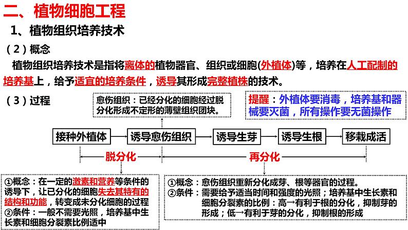 新教材备战高考生物一轮复习全考点精讲课堂  第38讲 细胞工程（课件）07