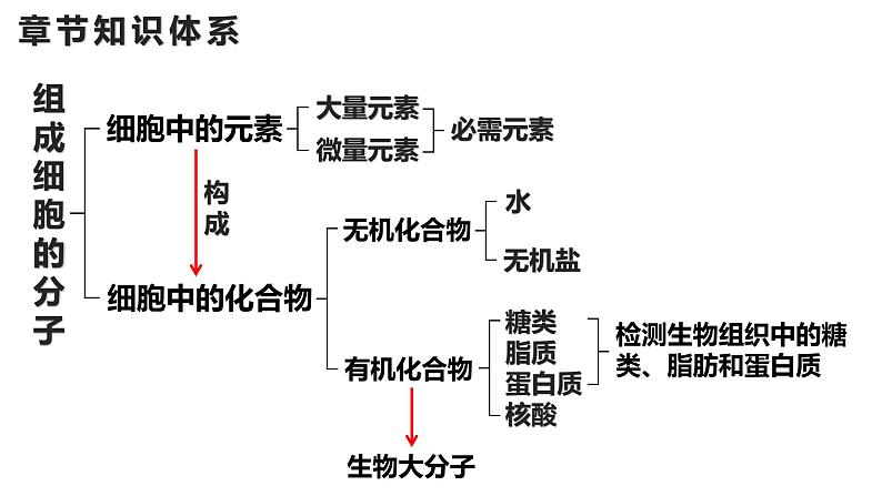 新教材备战高考生物一轮复习全考点精讲课堂  第01讲 组成细胞的分子（课件）02