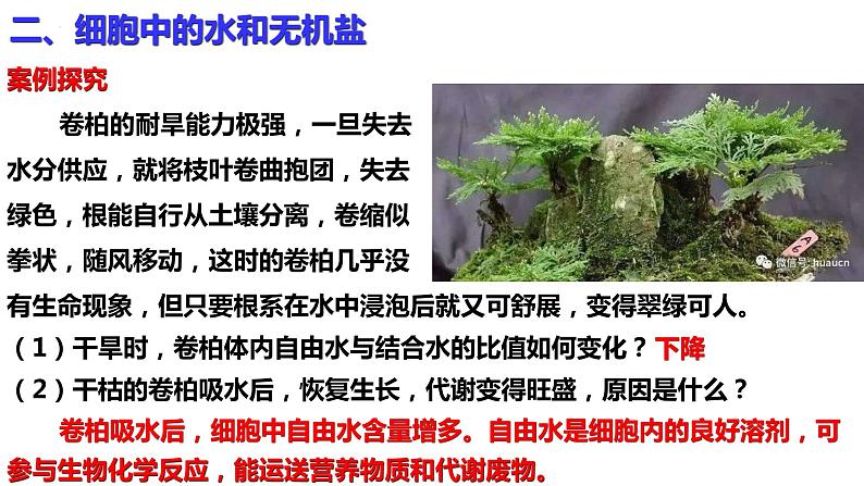 新教材备战高考生物一轮复习全考点精讲课堂  第01讲 组成细胞的分子（课件）07