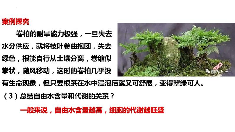 新教材备战高考生物一轮复习全考点精讲课堂  第01讲 组成细胞的分子（课件）08