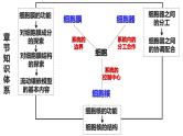 新教材备战高考生物一轮复习全考点精讲课堂  第02讲 细胞的基本结构（课件）