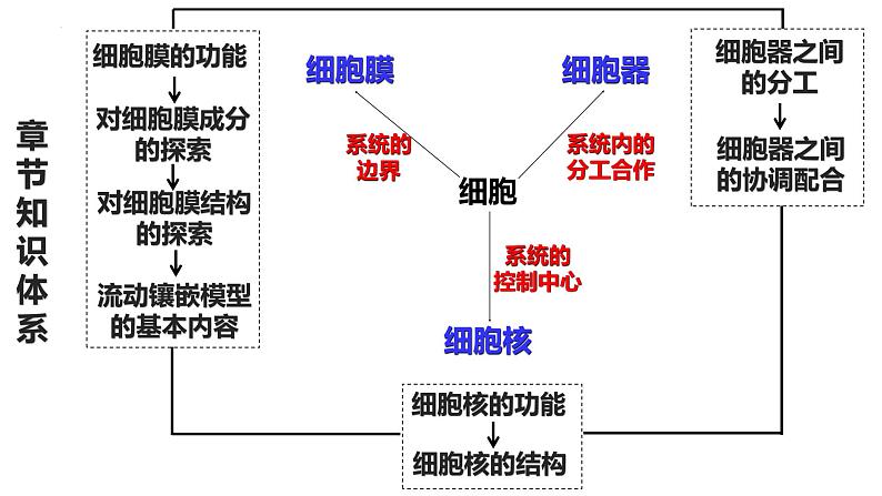 新教材备战高考生物一轮复习全考点精讲课堂  第02讲 细胞的基本结构（课件）第2页