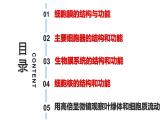 新教材备战高考生物一轮复习全考点精讲课堂  第02讲 细胞的基本结构（课件）