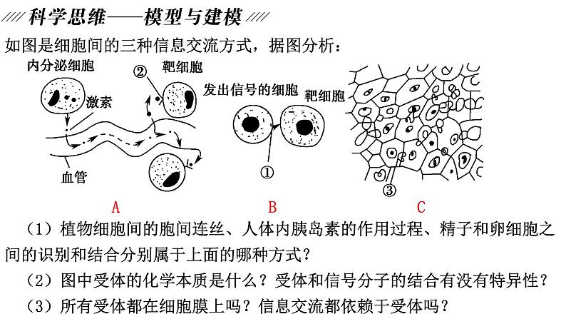 新教材备战高考生物一轮复习全考点精讲课堂  第02讲 细胞的基本结构（课件）第5页