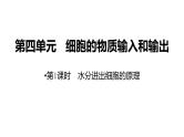 新教材备战高考生物一轮复习全考点精讲课堂  第03讲 细胞的物质输入和输出（课件）