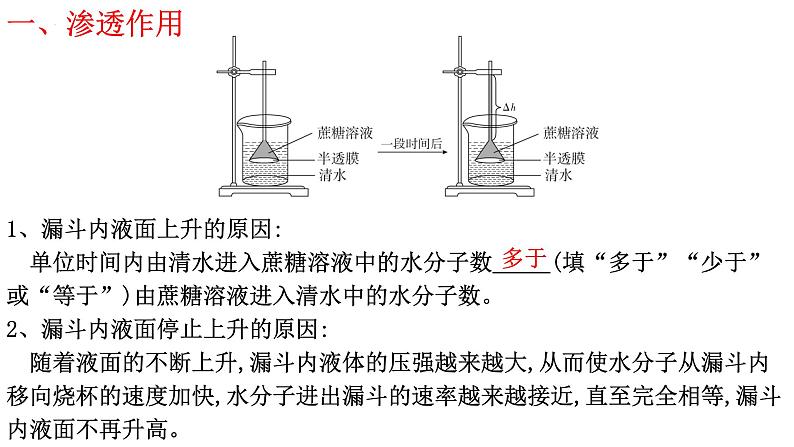 新教材备战高考生物一轮复习全考点精讲课堂  第03讲 细胞的物质输入和输出（课件）05