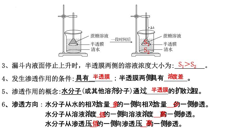 新教材备战高考生物一轮复习全考点精讲课堂  第03讲 细胞的物质输入和输出（课件）06