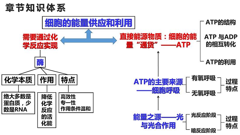 新教材备战高考生物一轮复习全考点精讲课堂  第04讲 细胞的能量供应和利用——酶（课件）第2页