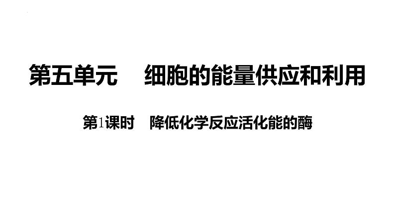 新教材备战高考生物一轮复习全考点精讲课堂  第04讲 细胞的能量供应和利用——酶（课件）第4页