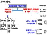 新教材备战高考生物一轮复习全考点精讲课堂  第06讲 细胞呼吸的原理和应用（课件）