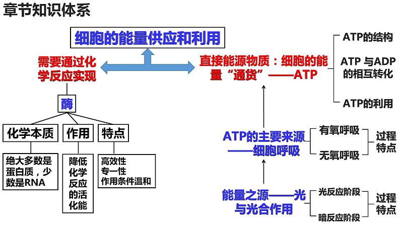 新教材备战高考生物一轮复习全考点精讲课堂  第06讲 细胞呼吸的原理和应用（课件）第2页