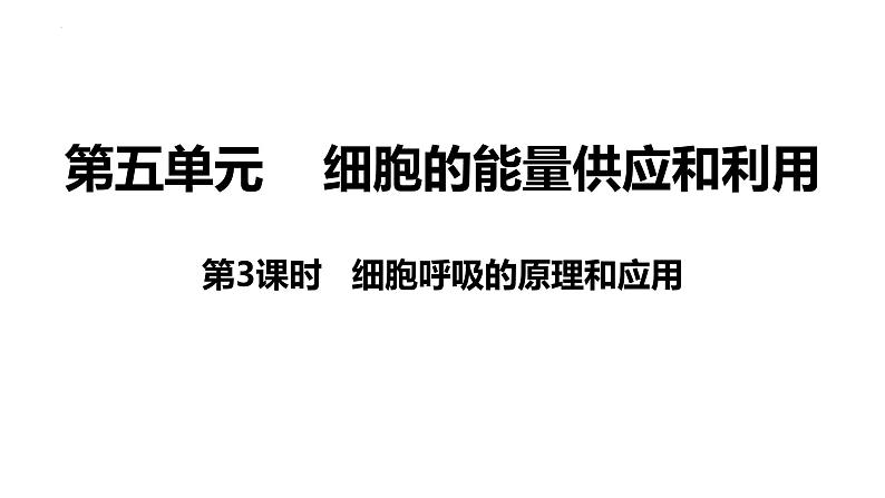 新教材备战高考生物一轮复习全考点精讲课堂  第06讲 细胞呼吸的原理和应用（课件）第4页