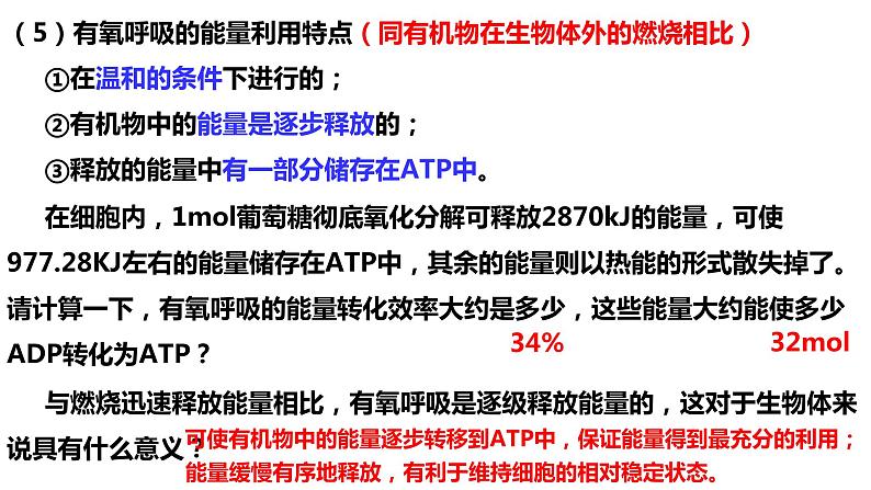 新教材备战高考生物一轮复习全考点精讲课堂  第06讲 细胞呼吸的原理和应用（课件）第8页