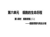 新教材备战高考生物一轮复习全考点精讲课堂  第08讲 细胞增殖（课件）
