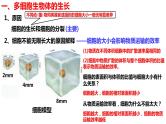 新教材备战高考生物一轮复习全考点精讲课堂  第08讲 细胞增殖（课件）