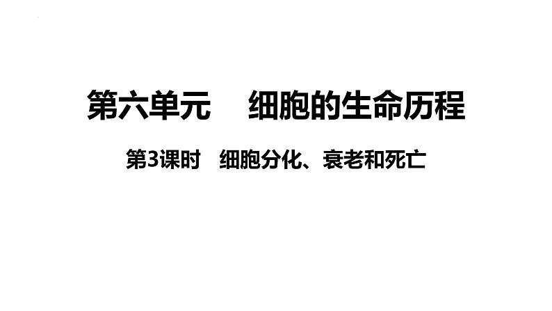 新教材备战高考生物一轮复习全考点精讲课堂  第09讲 细胞分化、衰老和死亡（课件）03