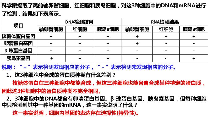 新教材备战高考生物一轮复习全考点精讲课堂  第09讲 细胞分化、衰老和死亡（课件）06