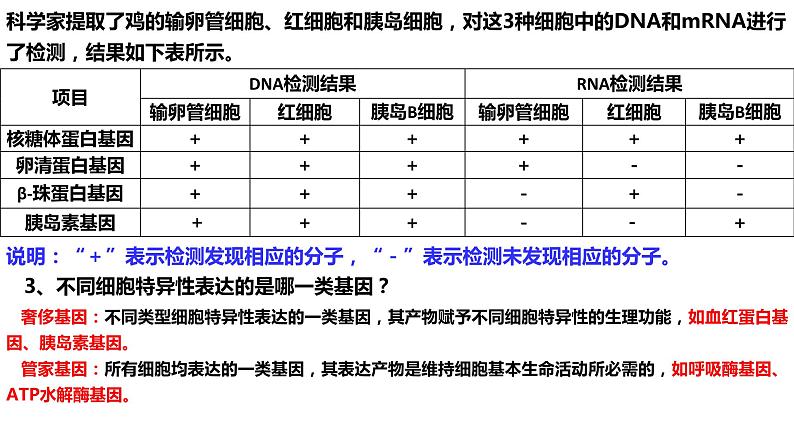 新教材备战高考生物一轮复习全考点精讲课堂  第09讲 细胞分化、衰老和死亡（课件）07