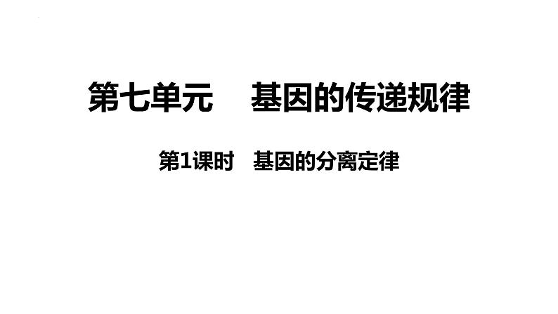 新教材备战高考生物一轮复习全考点精讲课堂  第10讲 基因的分离定律（课件）03