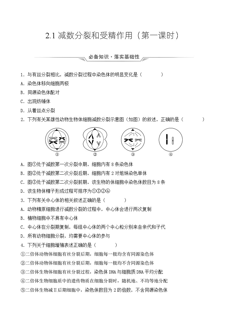 （人教版2019必修2）高一生物同步练习 2.1 减数分裂和受精作用（第一课时）（教学课件+课后练习+解析）01