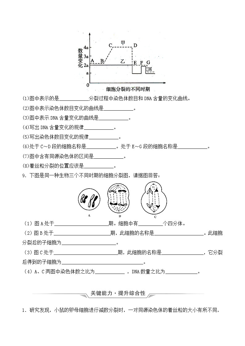（人教版2019必修2）高一生物同步练习 2.1 减数分裂和受精作用（第一课时）（教学课件+课后练习+解析）03