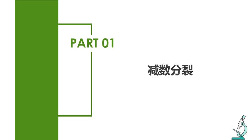 （人教版2019必修2）高一生物同步练习 2.1 减数分裂和受精作用（第一课时）（教学课件+课后练习+解析）04