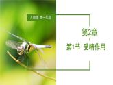 （人教版2019必修2）高一生物同步练习 2.1 减数分裂和受精作用（第二课时）（教学课件+课后练习+解析）
