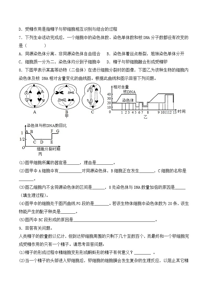 （人教版2019必修2）高一生物同步练习 2.1 减数分裂和受精作用（第二课时）（原卷版+解析）第2页