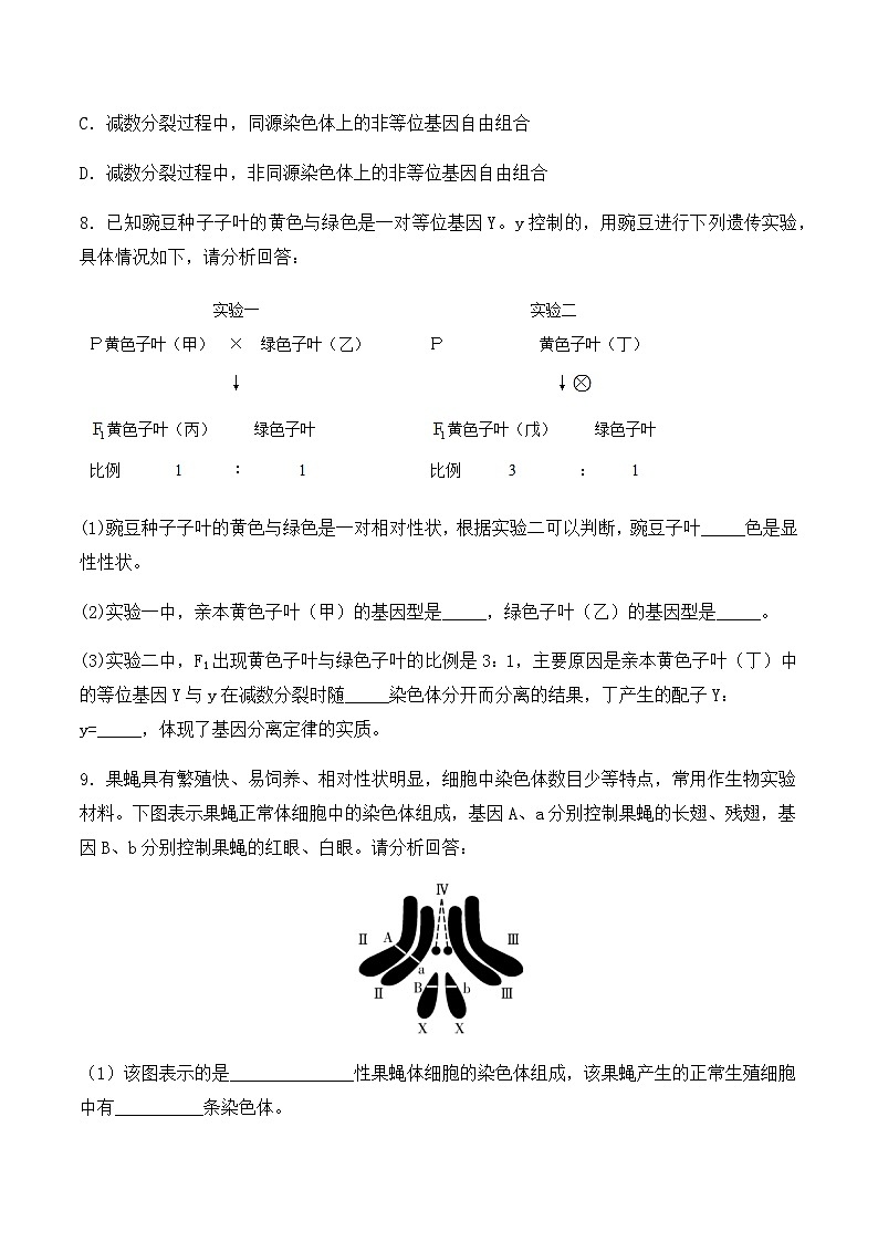 （人教版2019必修2）高一生物同步练习 2.2 基因在染色体上（教学课件+课后练习+解析）03