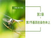 （人教版2019必修2）高一生物同步练习 2.2 基因在染色体上（教学课件+课后练习+解析）