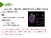 （人教版2019必修2）高一生物同步练习 2.2 基因在染色体上（教学课件+课后练习+解析）