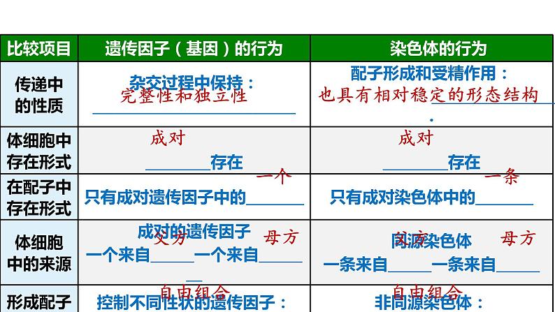 （人教版2019必修2）高一生物同步练习 2.2 基因在染色体上（教学课件+课后练习+解析）07