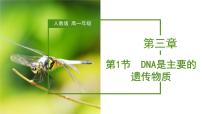 高中生物第1节 DNA是主要的遗传物质教学课件ppt