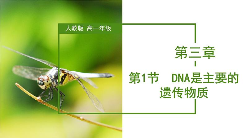 （人教版2019必修2）高一生物同步练习 3.1 DNA是主要的遗传物质（教学课件+课后练习+解析）01