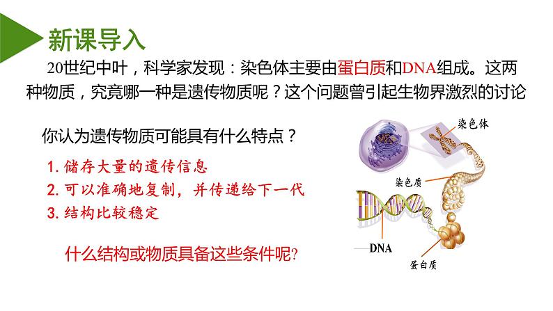 （人教版2019必修2）高一生物同步练习 3.1 DNA是主要的遗传物质（教学课件+课后练习+解析）03