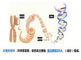 （人教版2019必修2）高一生物同步练习 3.1 DNA是主要的遗传物质（教学课件+课后练习+解析）