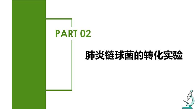 （人教版2019必修2）高一生物同步练习 3.1 DNA是主要的遗传物质（教学课件+课后练习+解析）07